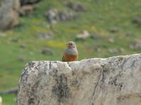 Türkei;Pamukkale;Hierapolis